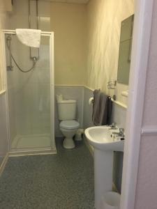 uma casa de banho com um WC, um lavatório e um chuveiro em Walford Hotel em Blackpool