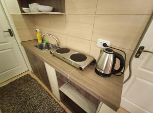 a tiny kitchen with a sink and a stove at садиба Пан Коцький in Kosiv