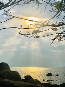 Gallery image of Kuwona Cottage in Senga