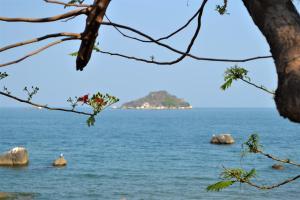 Gallery image of Kuwona Cottage in Senga