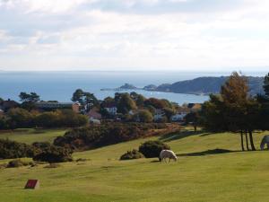 two sheep grazing on a hill with the ocean in the background at Somerfield Lodge in Swansea +17 photos