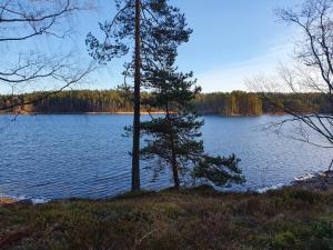 Gallery image of Pankkotupa 66 "13B" in Savonlinna