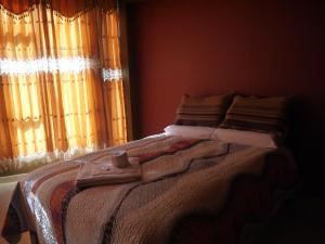 胡利亚卡Hotel Suite Juliaca的相册照片