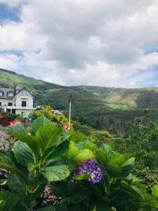 a view from a garden with flowers and a house at "Casa Do Avô Patrício" Mountain Experience in Parada