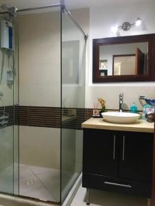 a bathroom with a glass shower and a sink at Apartamento Edificio Bahia Fragata in San Andrés