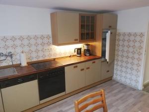 a kitchen with a sink and a stove top oven at Appartement Borsum in Harsum