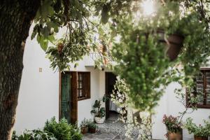 Zahrada ubytování TIERRA SOÑADA HOTEL BOUTIQUE