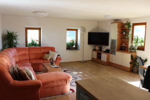 TV a/nebo společenská místnost v ubytování Apartmaji Nena