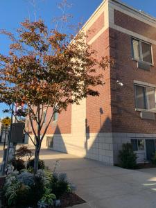 a tree in front of a brick building at Cresthaven Inn Jamaica-JFK in Queens