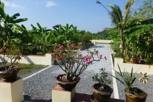 un jardín con macetas en un camino de grava en 1 bedroom pool Villa Tropical fruit garden Fast Wifi Smart Tv en Ban Sang Luang
