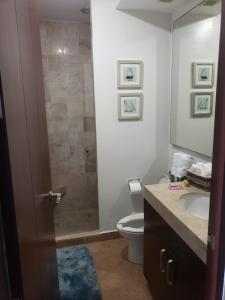 a bathroom with a shower with a toilet and a sink at Big Luxury Condo - Zona Dorada in Mazatlán +12 photos
