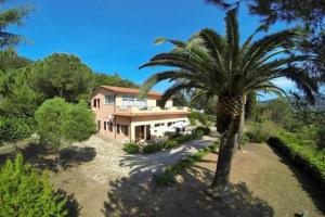 Κήπος έξω από το Villa Vanna Trilo -quadrilocale