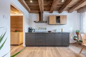 PlazzolesにあるOberprünst Hof - App. St. Luisのギャラリーの写真