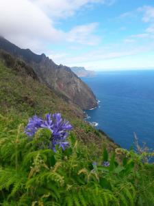 Imagen de la galería de Funchal Bay View Holiday Rental, en Funchal