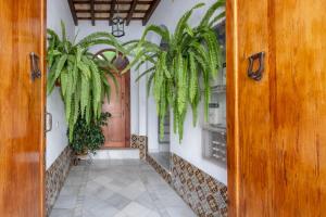 コニル・デ・ラ・フロンテーラにあるCasa Pepaの植物の廊下への開口ドア