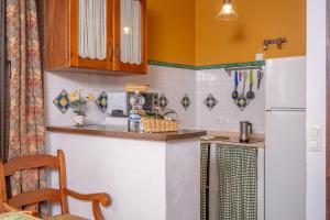 コニル・デ・ラ・フロンテーラにあるCasa Pepaのキッチン(カウンター、冷蔵庫付)