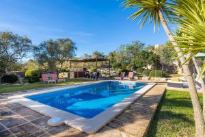 uma piscina num quintal com uma palmeira em Es Pinaró Sansó em Artà