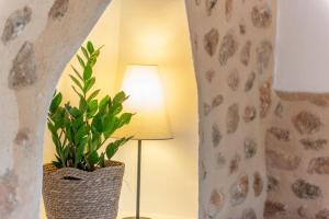Fotografie z fotogalerie ubytování Finca Ca'n Vaqueta v destinaci Sóller