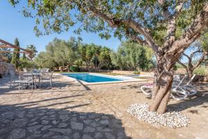 a tree with rocks around it next to a swimming pool at Es Rafal Roig - Es Nord in Sant Llorenç des Cardassar