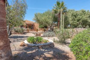 a yard with a house with trees and plants at Es Rafal Roig - S'aboal in Sant Llorenç des Cardassar