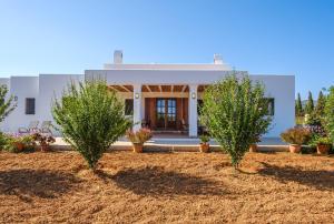 A garden outside Casa Cristina Ibiza