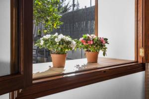 Fotografie z fotogalerie ubytování Ca'n Doi v destinaci Sóller