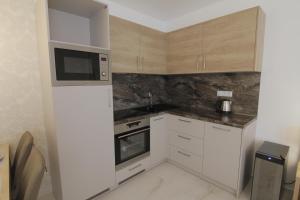 Köök või kööginurk majutusasutuses Apartmány ROSE Mikulov