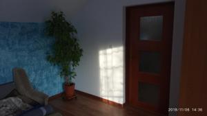salon z drzwiami i doniczką w obiekcie Apartament w domu na wsi w mieście Tomaszów Lubelski