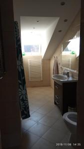 łazienka z umywalką, toaletą i lustrem w obiekcie Apartament w domu na wsi w mieście Tomaszów Lubelski +37 zdjęć