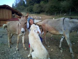 uma mulher ao lado de duas cabras e uma ovelha em AGRITURISMO MASO PERTENER -adults only- em Comano Terme