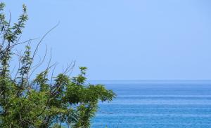 a view of the ocean from behind a tree at La Conchiglia in Savona