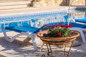 einen Stuhl und einen Blumentopf neben einem Pool in der Unterkunft Los tres soles in Portocolom