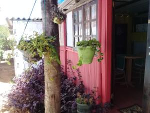 een rode deur met twee potplanten erop bij Aloha Noronha Hostel in Fernando de Noronha