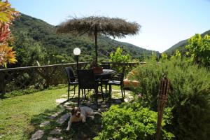 a dog laying in the grass next to a table with an umbrella at Il Villino Isola d'elba-ortano in Rio nellʼElba