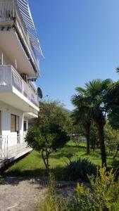 O grădină în afara Boka Bay