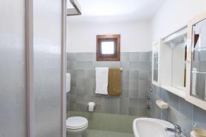トレモージネ・スル・ガルダにあるCasa Rita app 4のバスルーム(トイレ、洗面台、鏡付)