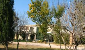 Fotografie z fotogalerie ubytování Finca Eucaliptus v destinaci Artá