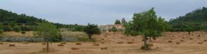 Fotografie z fotogalerie ubytování Finca Eucaliptus v destinaci Artá