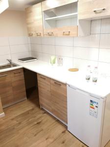 Kuchyňa alebo kuchynka v ubytovaní White Rose apartment