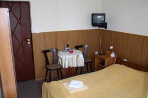 Televízia a/alebo spoločenská miestnosť v ubytovaní Hotel Bona