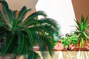 Fotografie z fotogalerie ubytování Appartamenti Cavour cod C v destinaci Villasimius + 17 fotografií