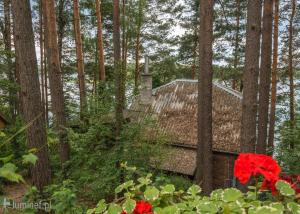 Billede fra billedgalleriet på Nad Jeziorem Zelwa - Puszcza Augustowska i Zelwa