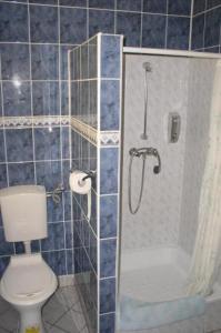 W wyłożonej niebieskimi kafelkami łazience znajduje się toaleta i prysznic. w obiekcie Hotel Bona w Krakowie