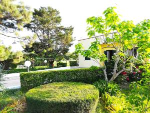 un giardino di fronte a una casa con un cespuglio di Incantevole Villa Maddalena a Otranto