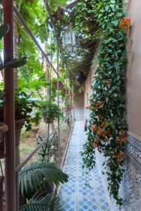 un couloir avec des plantes sur le côté d'un bâtiment dans l'établissement Riad Asma, à Taroudant