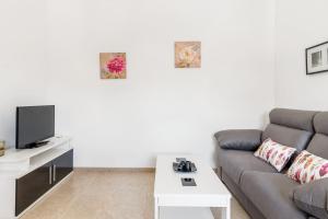Televízia a/alebo spoločenská miestnosť v ubytovaní Magnolia A - Solo Familias