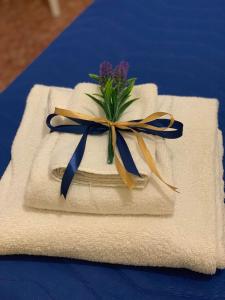 una flor sentada encima de una servilleta con una cinta en La Città degli Dei, en Agrigento