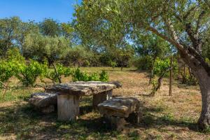 Ein Garten an der Unterkunft Sa Creu De Saume
