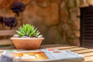 Fotografia z galérie ubytovania Villa Creus v destinácii Pollença