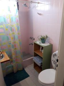 y baño con aseo y cortina de ducha. en LA CASA DEL MONO en Ushuaia